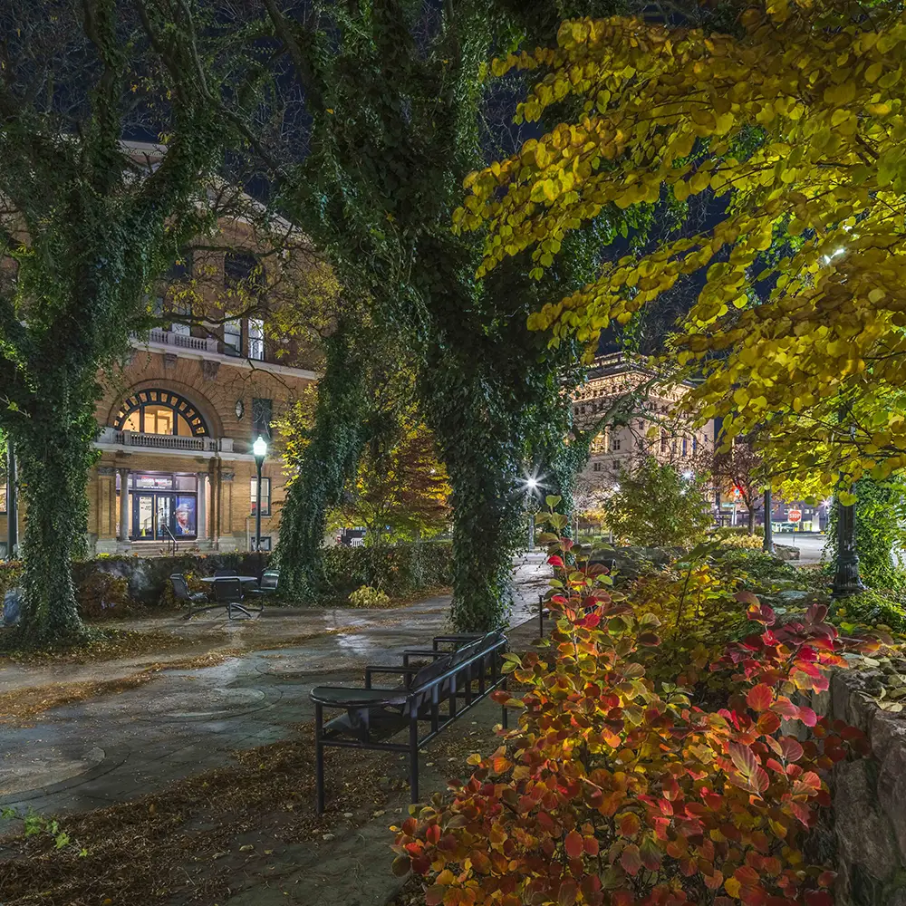 night picture of building